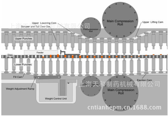 Cina Efficiente Chlorine Tablet Press Machine facile da usare Alta velocità fornitore