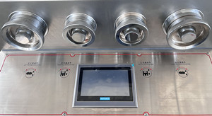 TIANHE ZP29 20 diametro macchina automatica per la stampa di compresse per 500 mg di caramelle di latte secco fornitore