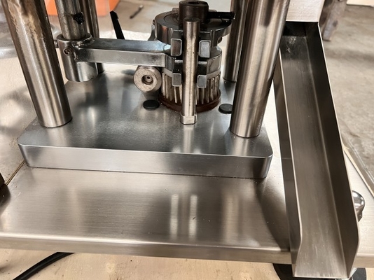 TIANHE Biotech Rotondo Oblongo Foratura Punzione Tablet Automatico Press Machine Tablet diametro 20mm fornitore