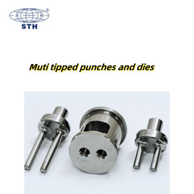 Multi Tipped High Capacity Chrome Coated Punch and Die for Pharmaceutical Tablet Press Tooling fornitore