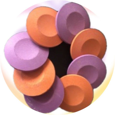 Large Size Punches and Dies for Tablet Press Tooling with Round and Irregular Shape for Long Durability fornitore