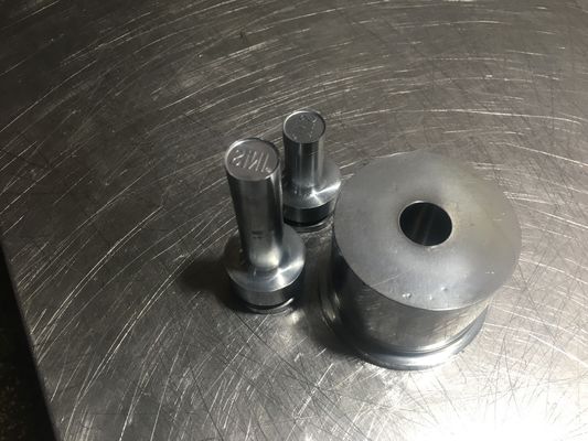 TIANHE Customized Multi-head mould/Punches & dies/Material S7 Hard Chrome fornitore