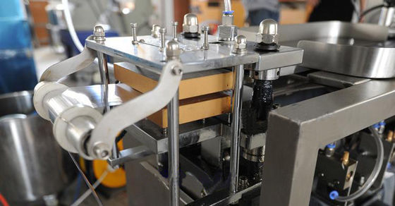 Tianhe ad alta velocità Medical Packing Syringe Blister Packaging Machine fornitore