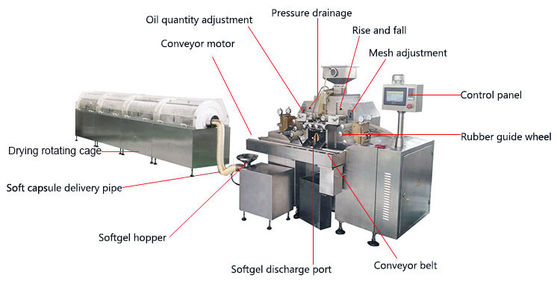 Macchina automatica ad alta velocità di incapsulamento di Softgel dell'olio della vitamina fornitore